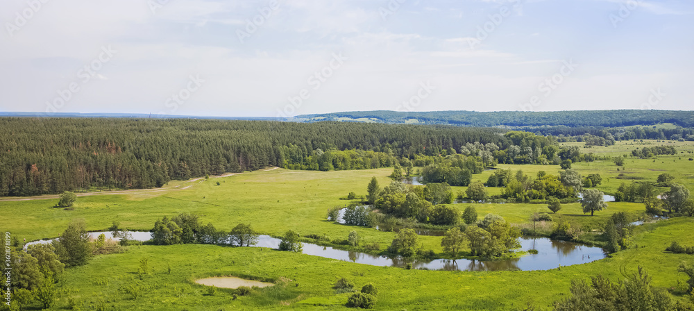 Summer landscape with riverbed, green meadow and forest on the background.