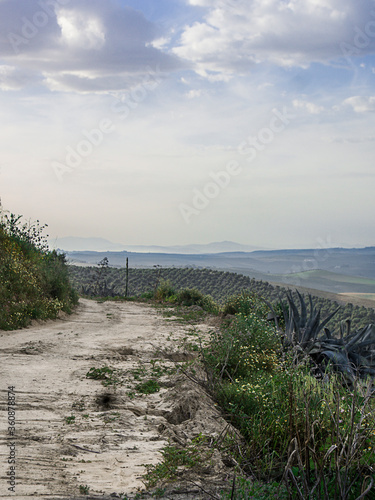 Paisaje naturaleza sierra del sur de espa  a 