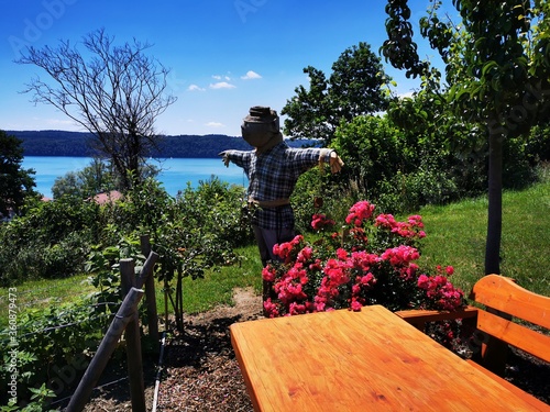 Fantastic hike near Sipplingen on Lake Constance photo