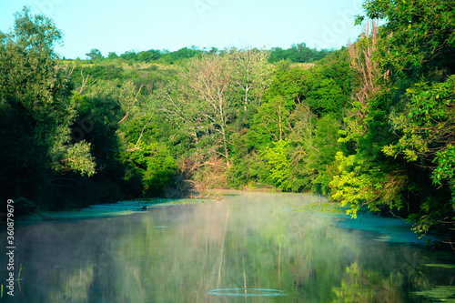 A small forest river in the early summer morning with a haze surrounded by green trees. Trees are reflected in the water. Shallow depth of field