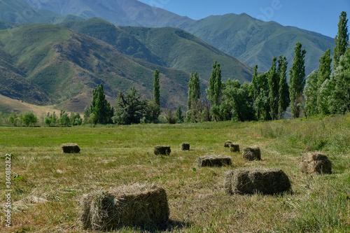 dry grass tied with a rope on a background of mountains