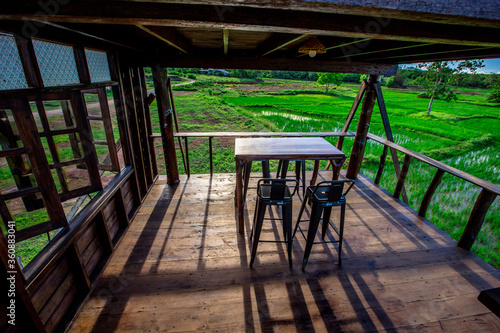 The panoramic background of the green rice fields, with wooden bridges to walk in the scenery and the wind blows through the cool blurred while traveling. © bangprik
