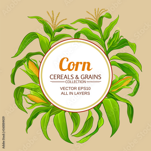 corn vector frame