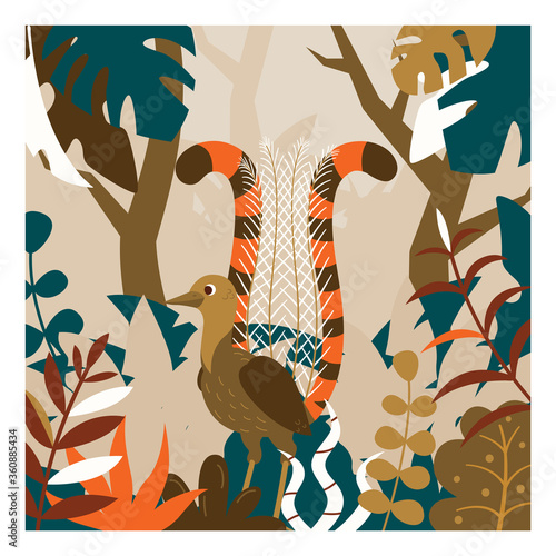 Colorful Australian lyrebird surrounded by trees and leaves illustration. Stock vector. Cartoon lyre bird in forest.