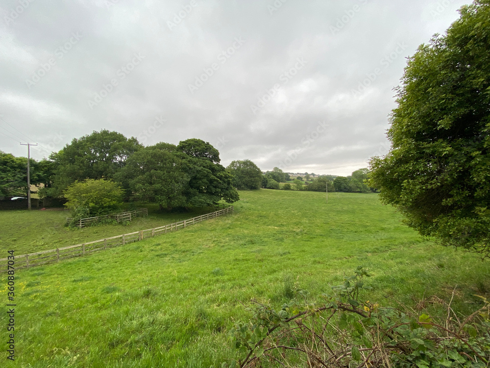 Landscape with fields, trees and bushes in, Allerton, Bradford, UK