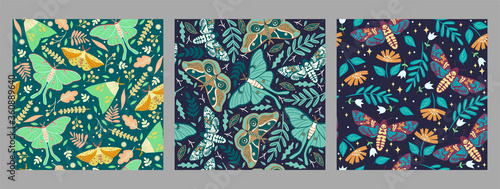 Set of seamless patterns with moths. Vector graphics.