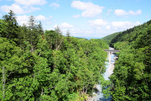 Landscape of Biei river, Hokkaido, Japan, during summer season.