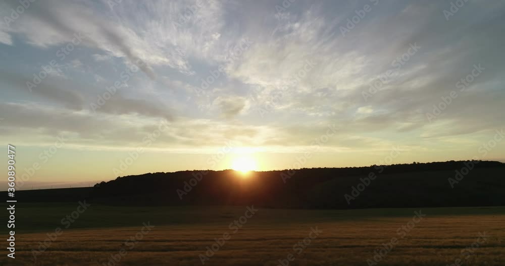 Aerial video of Wheat field in sunset time taken by drone camera Move to the left. Aerial video of Wheat field in sunset time taken by drone camera Move to the left.