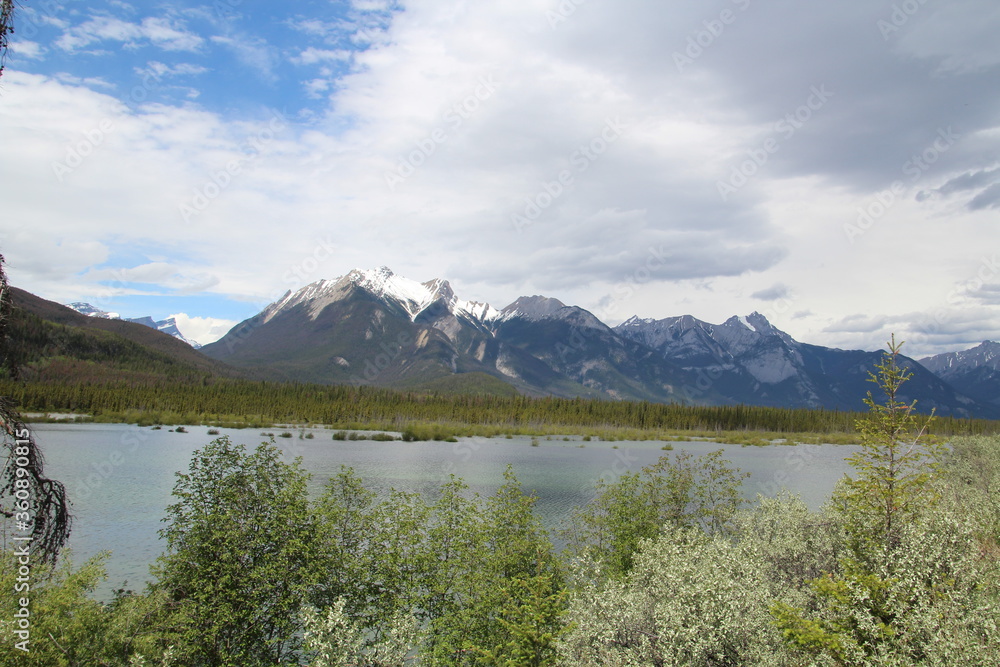 Mountains By Snaring Road, Jasper National Park, Alberta