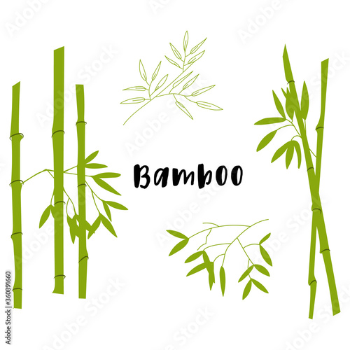 vector green color flat design bamboo plants with leafs illustration isolated light background long shadow