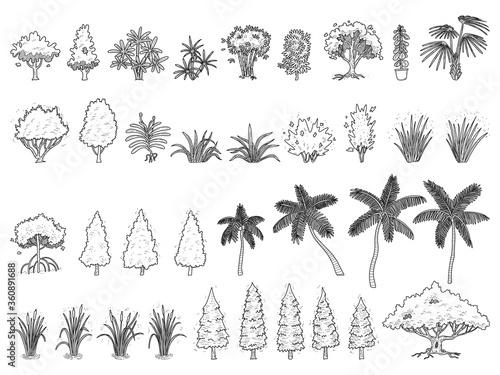 hand drawn vector set of trees on side view.
