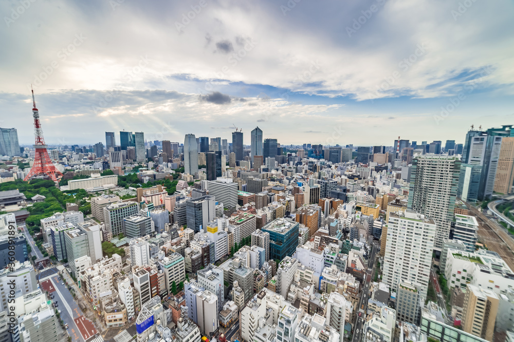 Fototapeta premium 東京都港区浜松町から見た東京の都市風景