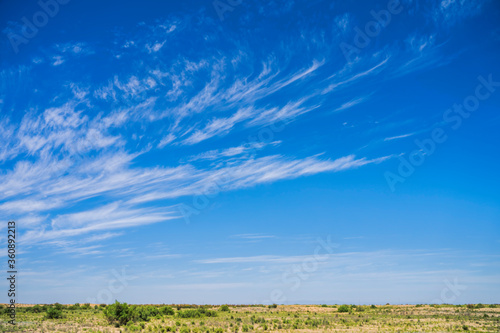 Clouds in the sky. White cirrus clouds on a blue sky. Clouds in motion. Summer blue sky. Clouds in perspective. Going to the horizon