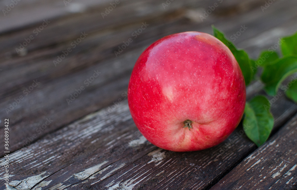 Beautiful juicy apples for juice on a hot summer day Beautiful juicy apples for juice on a hot summer day