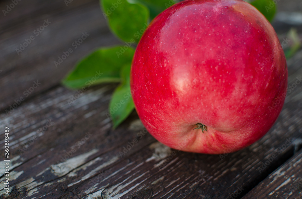 Beautiful juicy apples for juice on a hot summer day Beautiful juicy apples for juice on a hot summer day