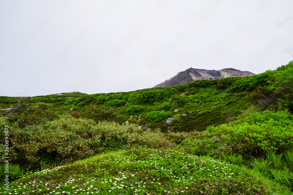 Fototapeta premium Landscape around Mount Asahidake during summer season in Daisetsuzan National Park, Hokkaido, Japan.