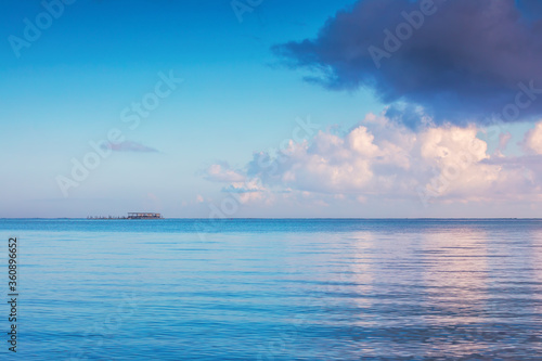 Fototapeta Naklejka Na Ścianę i Meble -  Sea sunrise and dolphins island park pool in the water