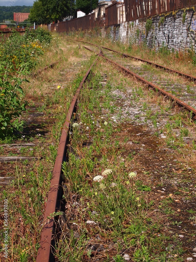 View of old train track