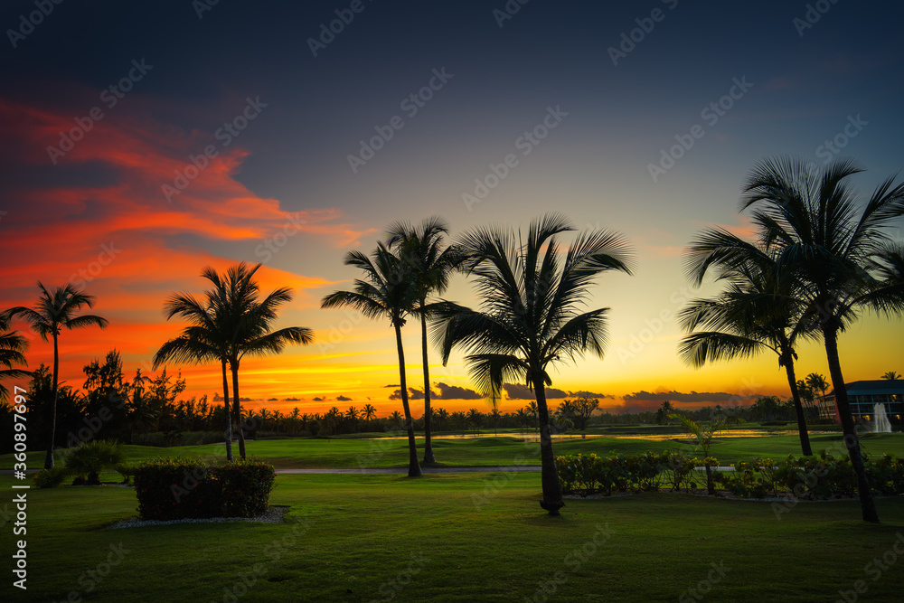 Silhouettes of palm trees against the sunset sky during a tropical night.