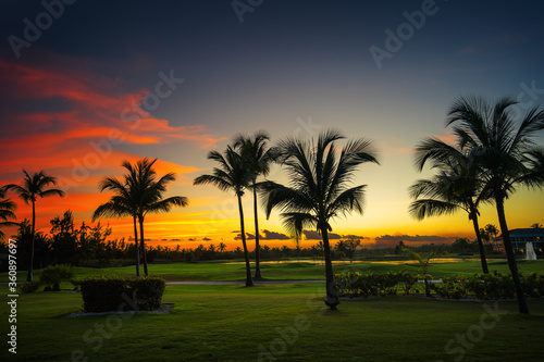 Silhouettes of palm trees against the sunset sky during a tropical night.