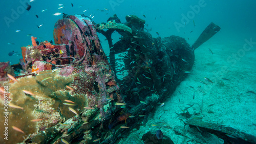Fotografi The remains of the winged warrior of World War II sleep at the bottom of the sea
