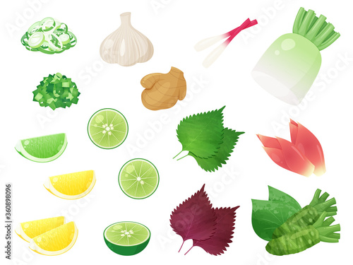 薬味のイラスト素材セット_みょうが_ねぎ_わさび