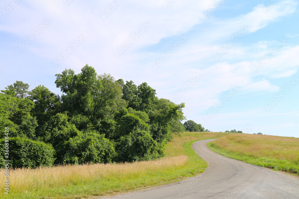 a winding road through a country hillside on a sunny day with trees a winding road through a country hillside on a sunny day with trees