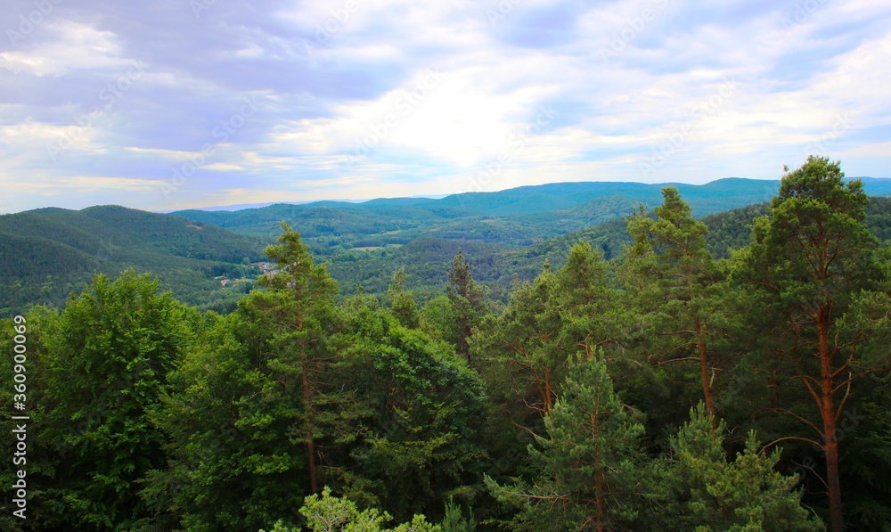Naturpark Pfälzerwald Naturpark Pfälzerwald
