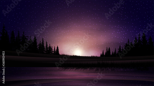 Sunset on the lake. Summer landscape with sunset over the horizon, pine forest and lake