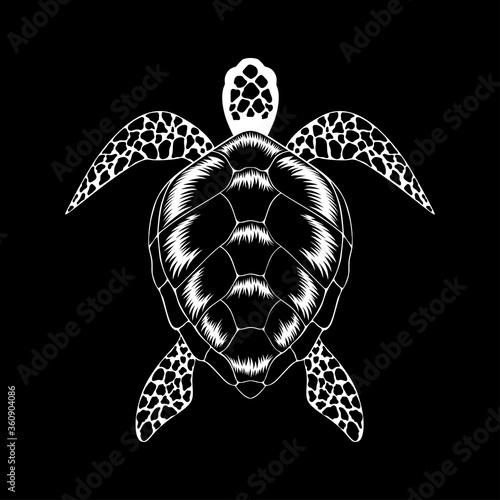 turtle on a black background
