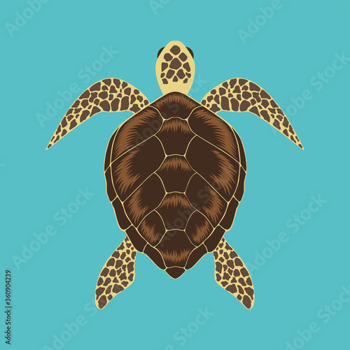 turtle vector illustration