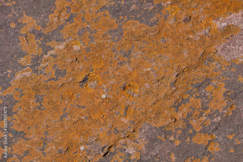 Wallpaper Mural stone high in the mountains covered with moss Torontodigital.ca