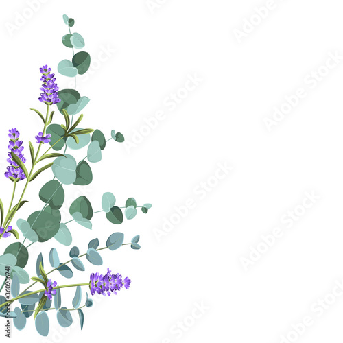 Eucaliptus and lavender elements design template. Simple design with frame flowers. Herbal vector frame