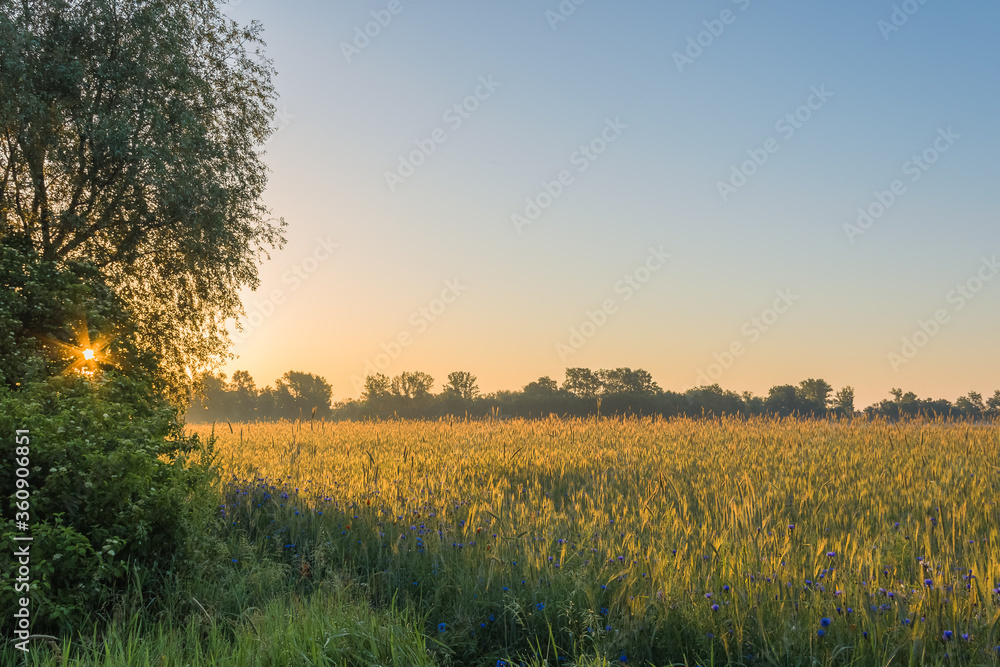Obraz premium Countryside landscape in the early morning