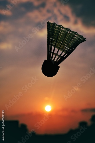 A beautiful view of cock being in air with sun behind during sunset hours
