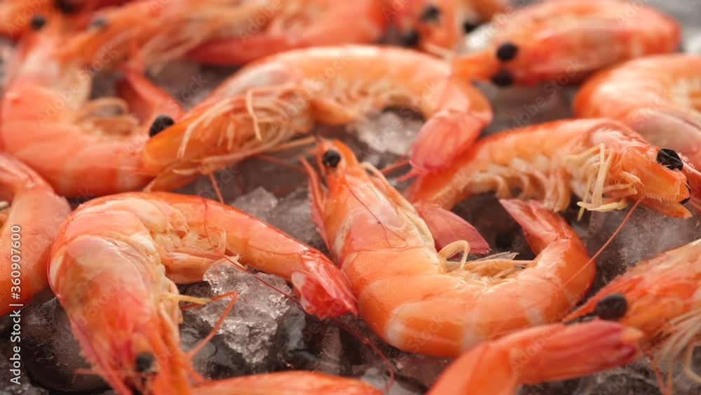 rotating fresh shrimps on ice, closeup rotating fresh shrimps on ice, closeup