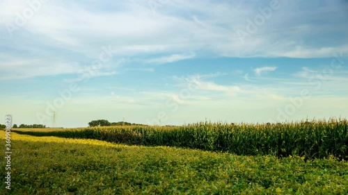 Time lapse of a moonrise over a corn field.