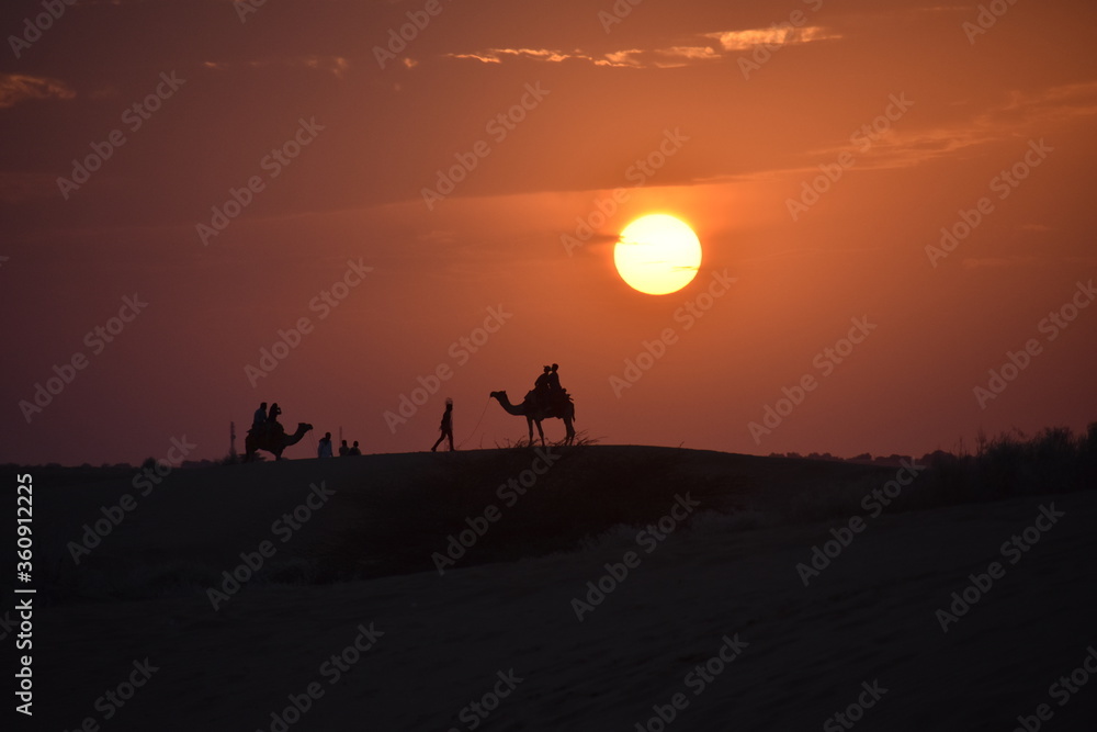 desert safari at jaisalmer sam dunes in a sunset time desert safari at jaisalmer sam dunes in a sunset time