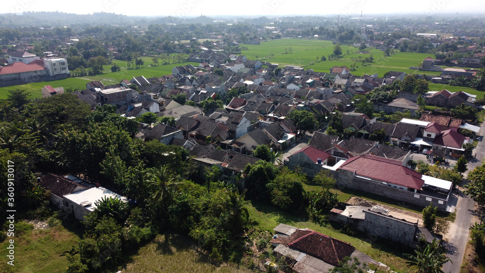 aerial view of rice fields and villages