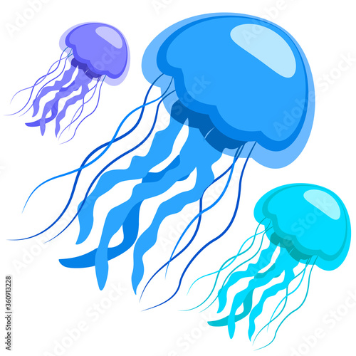Fototapeta Jellyfish, the underwater world. Stylized jellyfish on a white