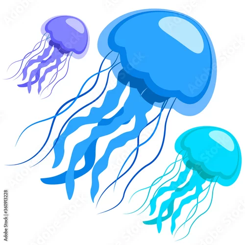 Obraz Jellyfish, the underwater world. Stylized jellyfish on a white