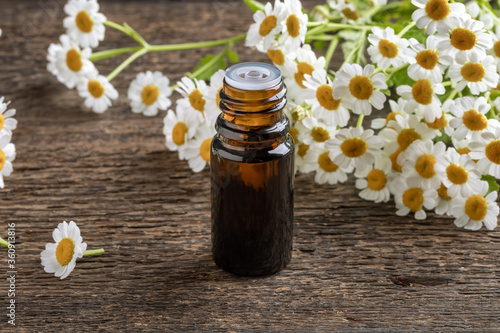 A bottle of tincture with blooming feverfew plant photo