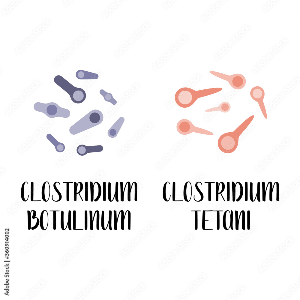 Clostridium botulinum, clostridium tetani, pathogen. Rodshaped, gram