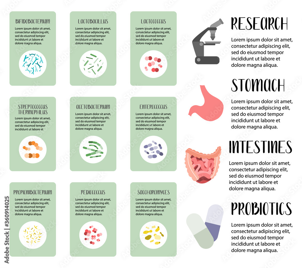 Useful Bacteria Examples Probiotics. Lactic acid bacteria. Good microorganisms for stomach, gut ...