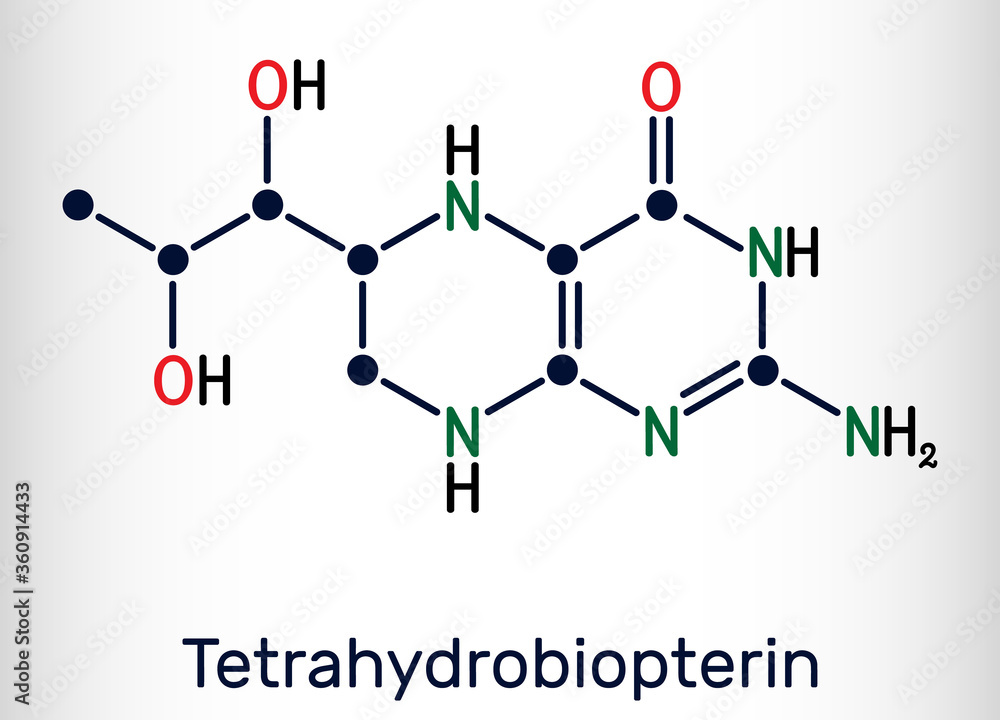Tetrahydrobiopterin, BH4, THB, sapropterin molecule. It has role as coenzyme, diagnostic agent, human metabolite, cofactor. Skeletal chemical formula