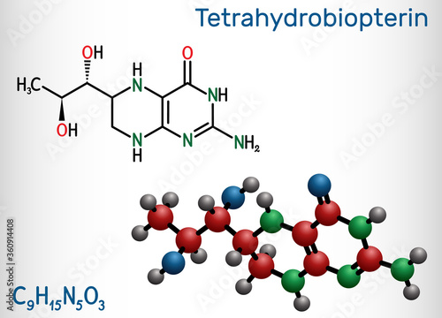 Tetrahydrobiopterin, BH4, THB, sapropterin molecule. It has role as coenzyme, diagnostic agent, human metabolite, cofactor. Structural chemical formula and molecule model