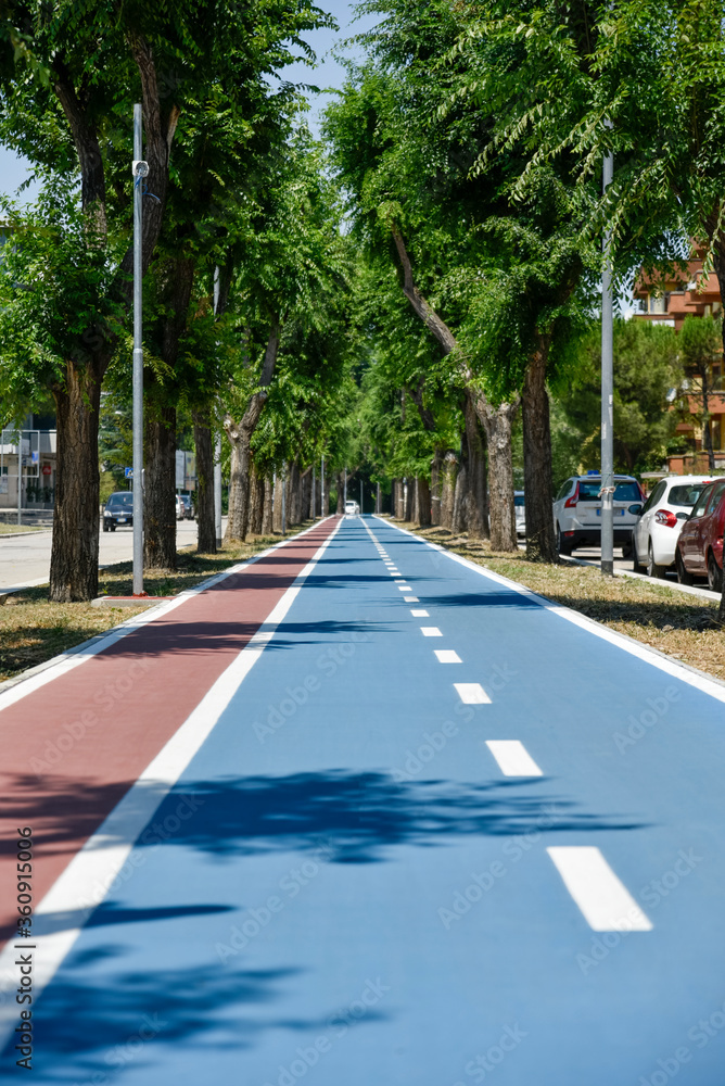 Naklejka premium Bicycle Path by Morning in the City at Summer with Elm Trees
