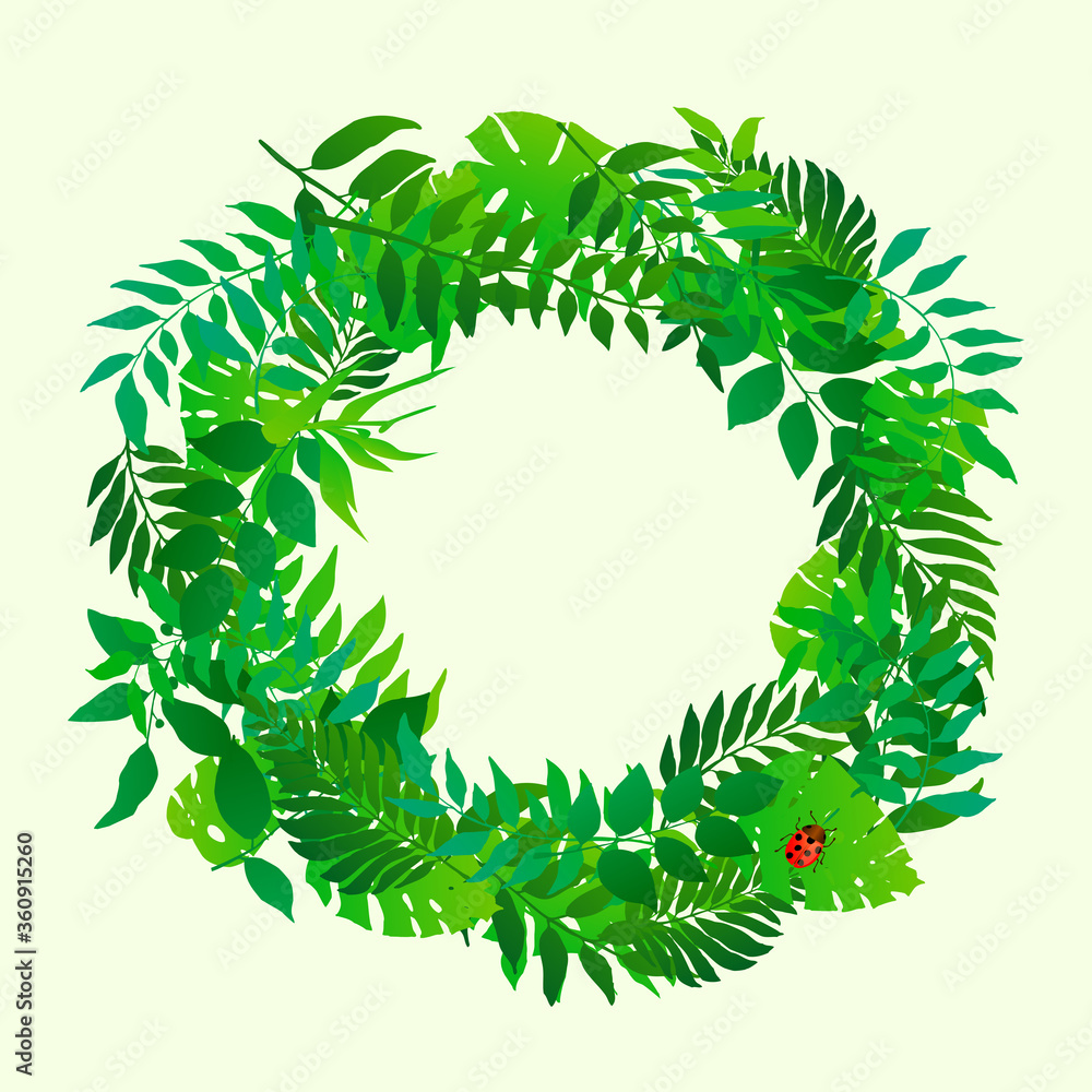 leaves circular border leaves circular border