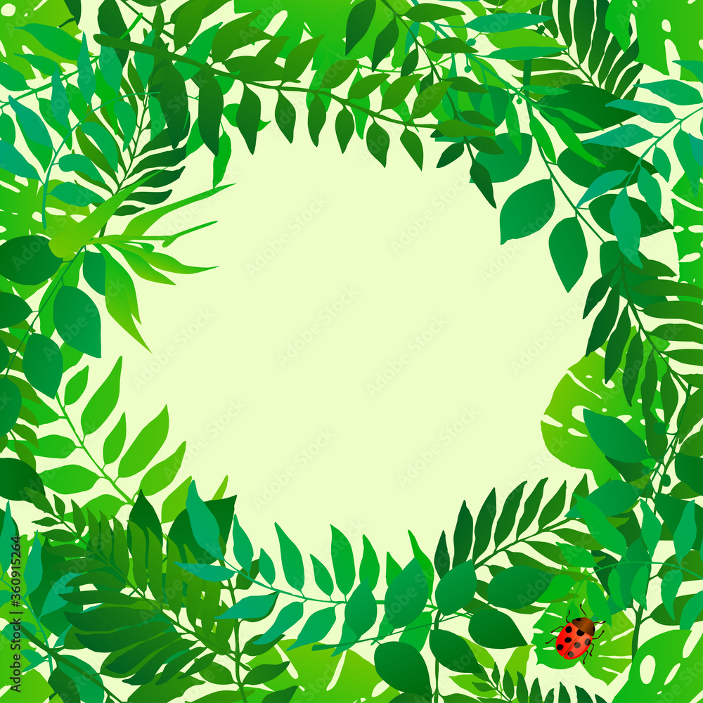 leaves circular border leaves circular border
