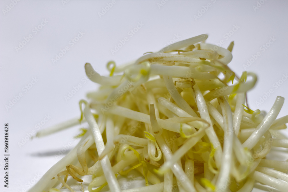 Been sprouts on a white background Been sprouts on a white background